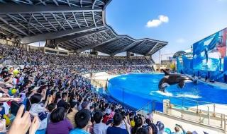 上海迪士尼乐园门票价格 迪士尼票价调整